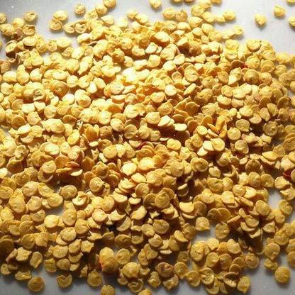 WILLVINE Green Chilli / Haree Mirch / Paccai Milakay-[3000 Seeds] Seed