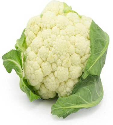 WILLVINE AGRI -XVI Hybrid Improved Japanese Cauliflower [1g, 300 Seeds] Seed