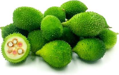 BDSresolve kakoda ka bij/kantola seeds 17 Seed