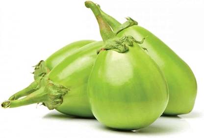 BDSresolve hubrid brinjal seedss / brinjal seeds 20 Seed