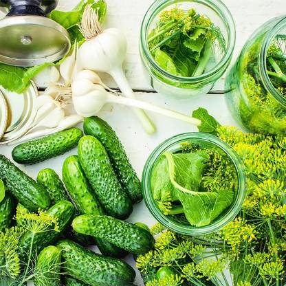 Biosnyg QAN-74 Heirloom Cucumber - National Pickling Seeds -[800 Seeds] Seed