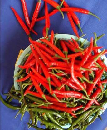 greenfarm NVX- Chilli Seeds/Mirchi Seeds , Best Quality Seeds ,400 X Seeds ,hbf172 Seed