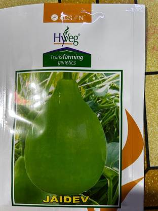 HYBRID BOTTLE GOURD BOTTLE GOURD, KODDU, LAU Seed