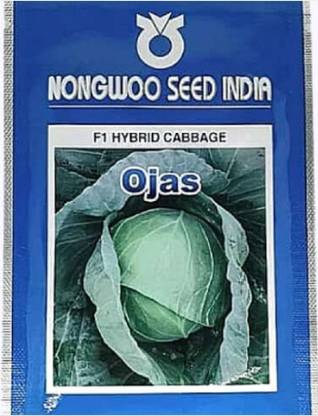 NONGWOO Cabbage, Ojas Seed
