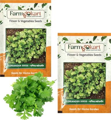 farmgokart |2 PACKETS OF CORIANDER SEEDS |Quality Vegetable Seeds Pouch|Home Gardening Seed