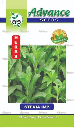 U-GROW INDIA UGROW INDIA SITEVIA NAVIGATOR: MAPPING YOUR JOURNEY TO SUCCESS SEEDS & PLANT Seed