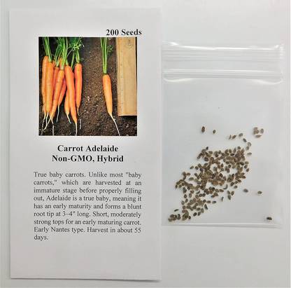 WILLVINE VXI-437 Carrot Adelaide (Orange) Seed