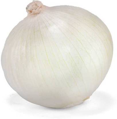 WILLVINE SCI-1410 White Onion Seeds For Planting-3000 Seeds Seed