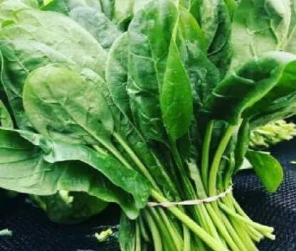 CRGO SPINACH , PALAKH Seed