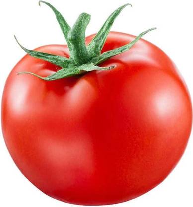 Oliver tamto seed Seed