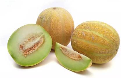 BDSresolve Deshi Muskmelon seeds PACK OF 52 Seed