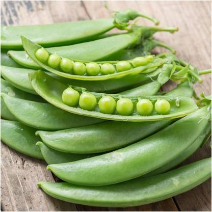 Biosnyg ROX-84 Sugar Sprint Pea (Pisum sativum)-[800 Seeds] Seed