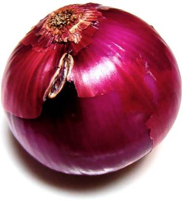 Pearlo RED CREOLE ONION Seed