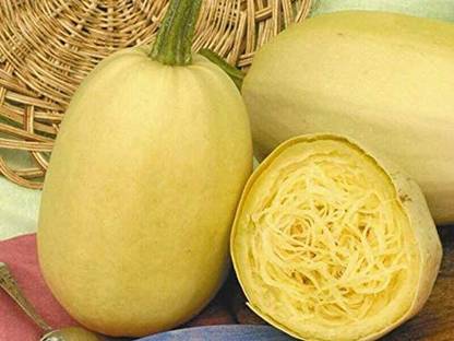 VibeX ® XXL-243 Spaghetti Squash Zucchini Yellow Seed