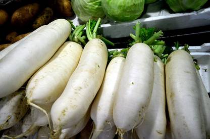 CHILLATAI Mooli / Radish / Mula Vegetable Seed