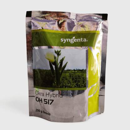 syngenta OH 517 Okra Seed
