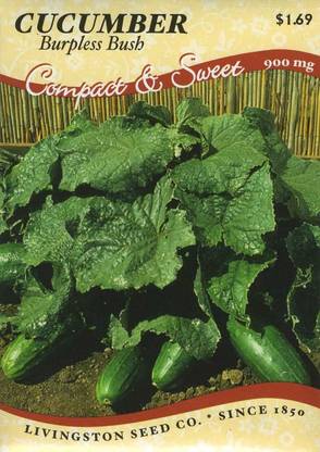 VibeX ® VXI-650 Burpless Bush Cucumber Seed