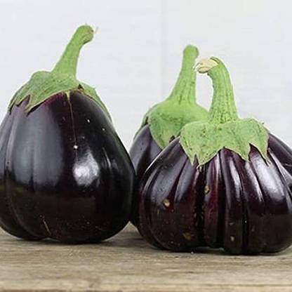 VibeX ® RXI-643 Eggplant Brinjal (Aswad Iraqi Seeds) Seed