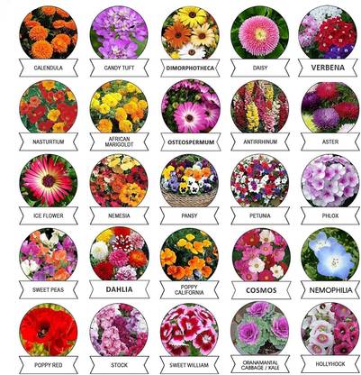 CRGO Seeds Combo Pack (Flower Seeds | Total 90 Variety Seed