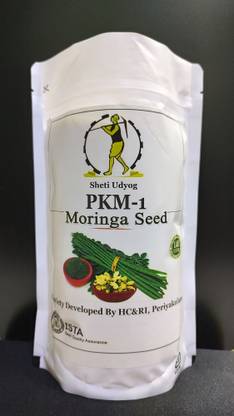 Sheti Udyog Sahajan/Moonaga/Sargua/Surjan/Shevaga/Drumstick/Sujana/Nugya/Moringa Seed