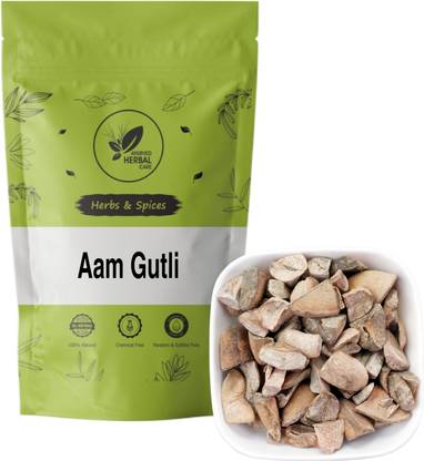 ayurved herbal care Aam Guthli - Aam Magaj - Mango Seed Kernel Seed
