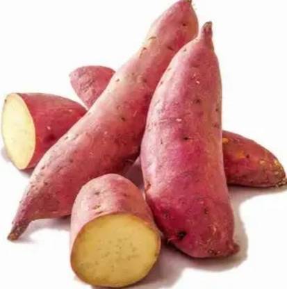 Enether China potato Seed