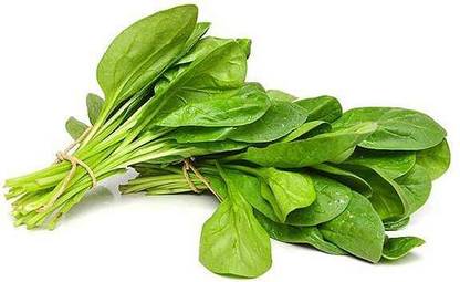 MYLAWN Palak Spinach/पालक के बीज Seed