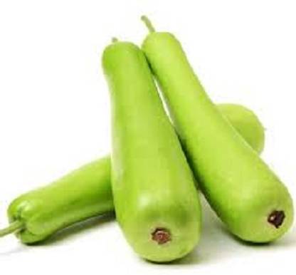 VibeX Pusa Naveen Organic Bottle gourd-(100 Gms, 500 Seeds) Seed