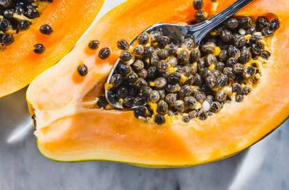 Haritkarni PAPAYA IS-115 10g, For Kitchen Gardening, Germination(Min.)-98% Seed