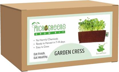 Sow and Grow Microgreens Grow Kit: Garden Cress 20 Grams, Easy to Use Kit for Beginner Seed