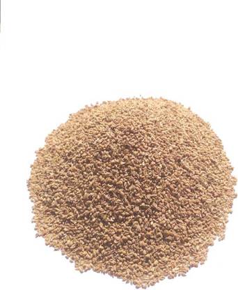 VINARGHYA Ajwain, Ajowan, Carom, Thymol seeds, Ajma Ajmo, Owa, Onva / Juani / Vaamu / Seed