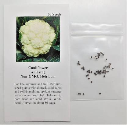 WILLVINE GOI -III Cauliflower Amazing FBA-2326 [1g, 300 Seeds] Seed
