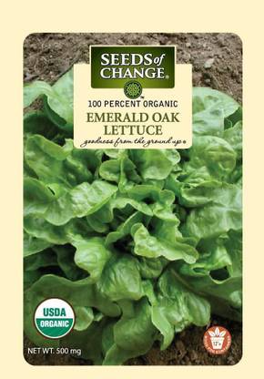 VibeX ® VLR-300 Emerald Oak Lettuce, Green Seed