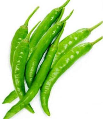 DHENU PRASAD Hybrid chilli (mirch) Seed