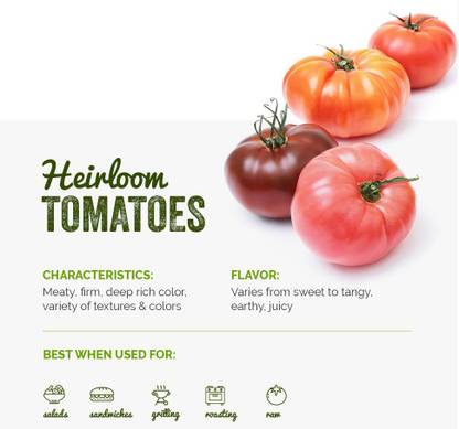 KNESSiN DLH-40 Tomato Seed