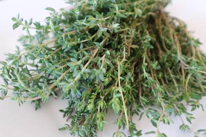 Qualtivate ICRA-7A Thyme Seed for Planting Seed