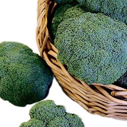 VibeX ® XXL-318 Castle Dome Hybrid Broccoli Seeds Seed