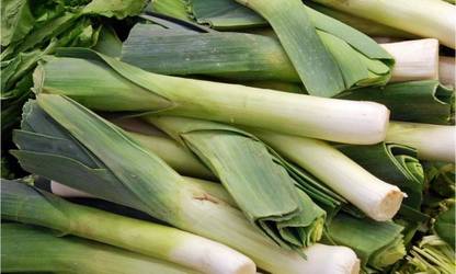 CEZIUS Leek - Golem - Allium Porrum Seed