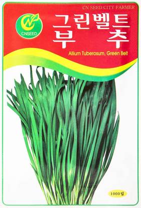 VibeX LX-98 - Chives Korean Leaf - (750 Seeds) Seed