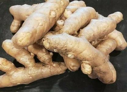 Lorvox haldi, curcuma longa, turmeric, lakdong, haldee Seed