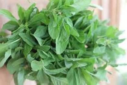 CHILLATAI Siru Keerai Seed