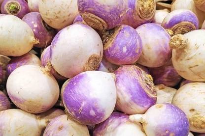 Avysa Turnip Seeds (Purple Top) Seed
