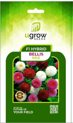 U-GROW INDIA UGROW INIDA ASSORTED COLORS AND VARIETIES ,BEELIS SEEDS Seed