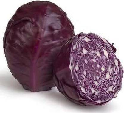 ENINE Cabbage Seed