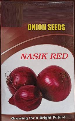 Qualtivate XXX-7A Nasik Red N53 Onion Swing Pose Seed
