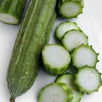 SeeGreen Organic Ridge Gourd Seeds, Luffa Seeds For Kitchen Gardening Hybird Seed