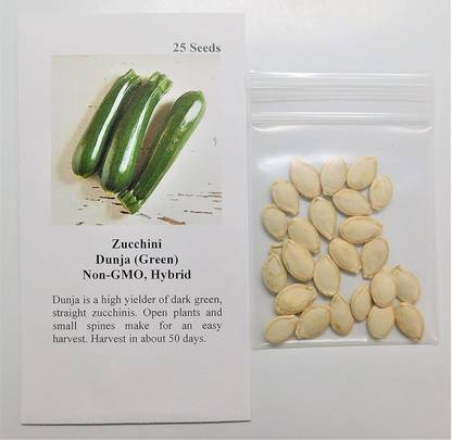 CYBEXIS VVI-38 - Zucchini Dunja (Green) - (75 Seeds) Seed