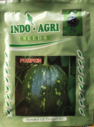 कद्दू बीज पम्पकिन सीड्स वेरी गुड फ्रूट साइज़ एंड डार्क ग्रीन हाईएस्ट यील्ड वेरिटी बीज