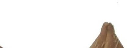 सबसीड्स ब्लैक राइस पैडी सीड (कृष्णम) 1 kg बीज