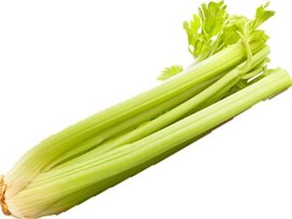 Qualtivate LX-182 Green Leaf Stalk Celery Celeriac Seed